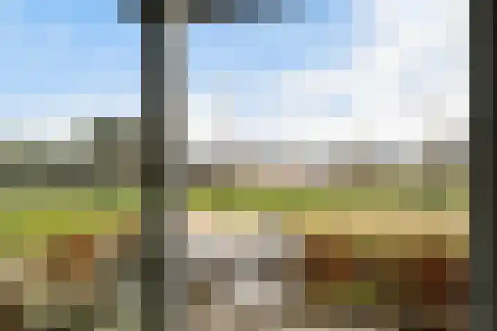 Begoniatuin 301 Pijnacker thumbnail 9
