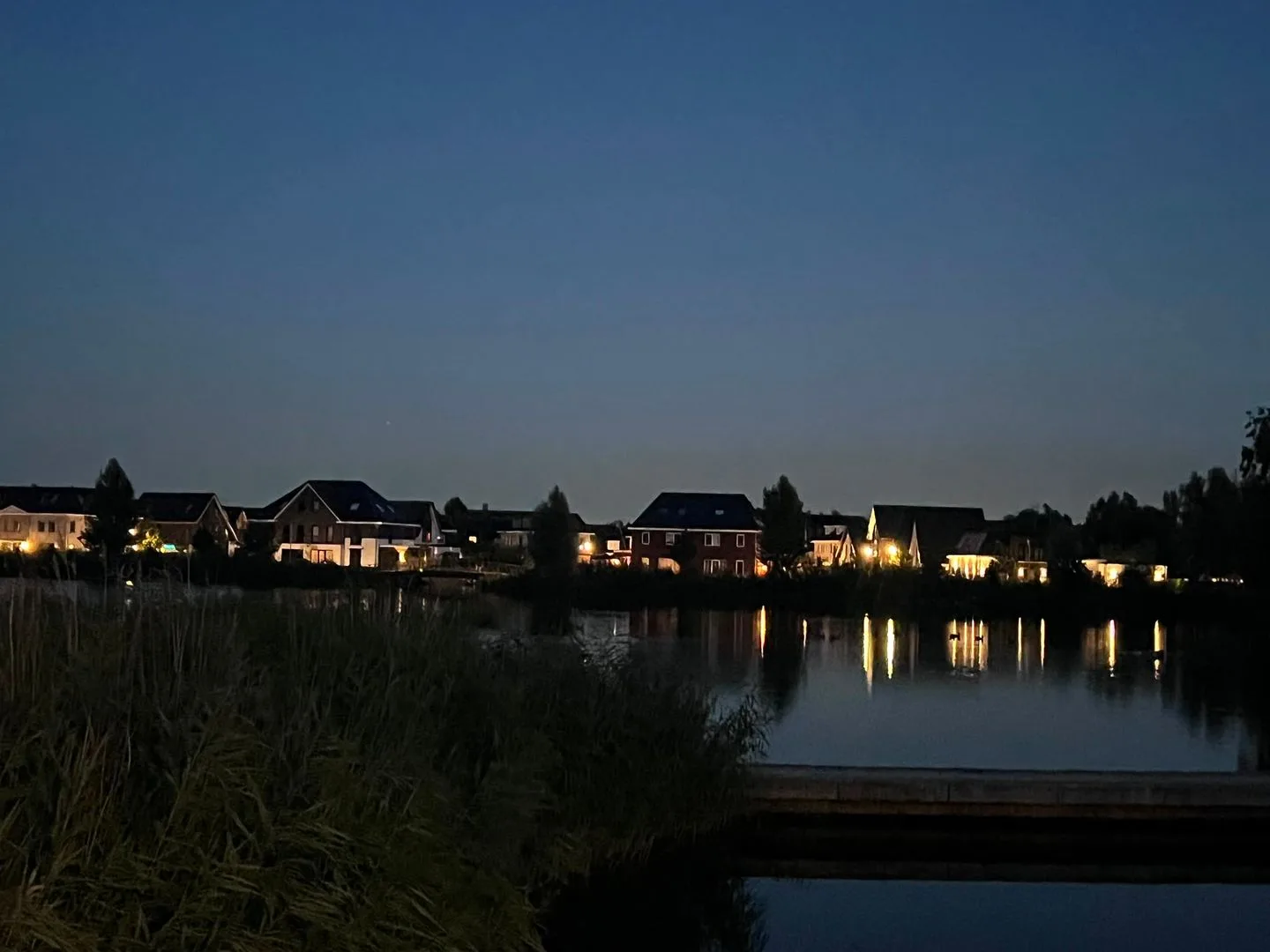Begoniatuin 317 Pijnacker thumbnail 30