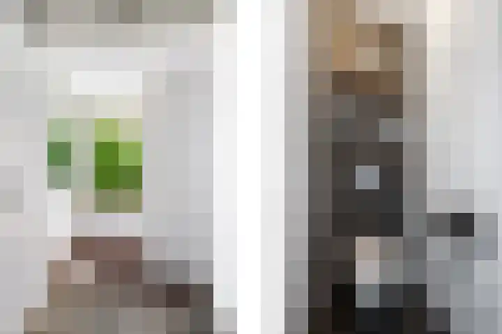 Begoniaveld 31 Nieuwerkerk aan den IJssel thumbnail 10
