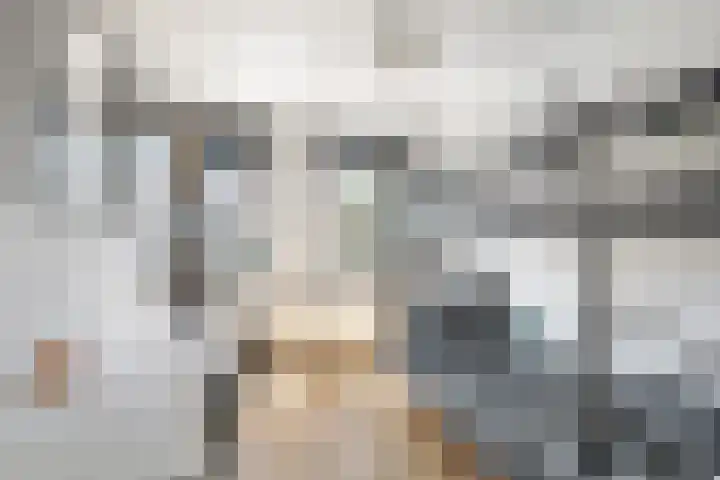 Begoniaveld 31 Nieuwerkerk aan den IJssel thumbnail 14