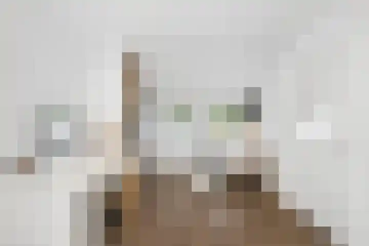 Begoniaveld 31 Nieuwerkerk aan den IJssel thumbnail 18