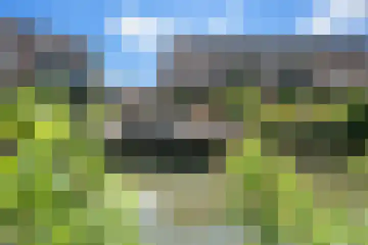 Begoniaveld 31 Nieuwerkerk aan den IJssel thumbnail 21