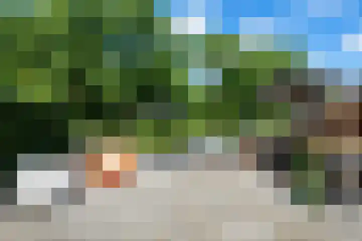 Begoniaveld 31 Nieuwerkerk aan den IJssel thumbnail 22