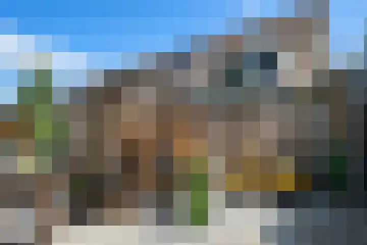 Begoniaveld 31 Nieuwerkerk aan den IJssel thumbnail 23