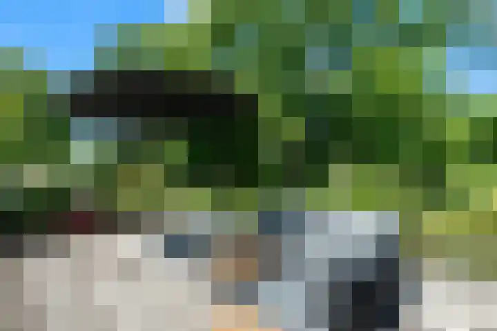 Begoniaveld 31 Nieuwerkerk aan den IJssel thumbnail 24
