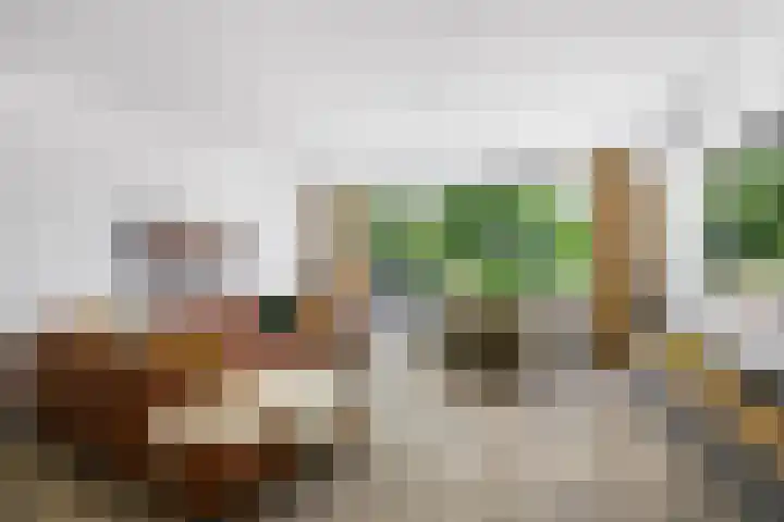 Begoniaveld 31 Nieuwerkerk aan den IJssel thumbnail 4
