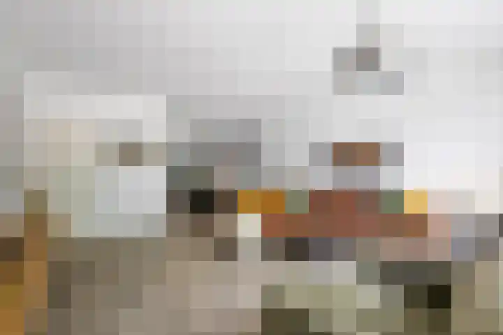 Begoniaveld 31 Nieuwerkerk aan den IJssel thumbnail 6