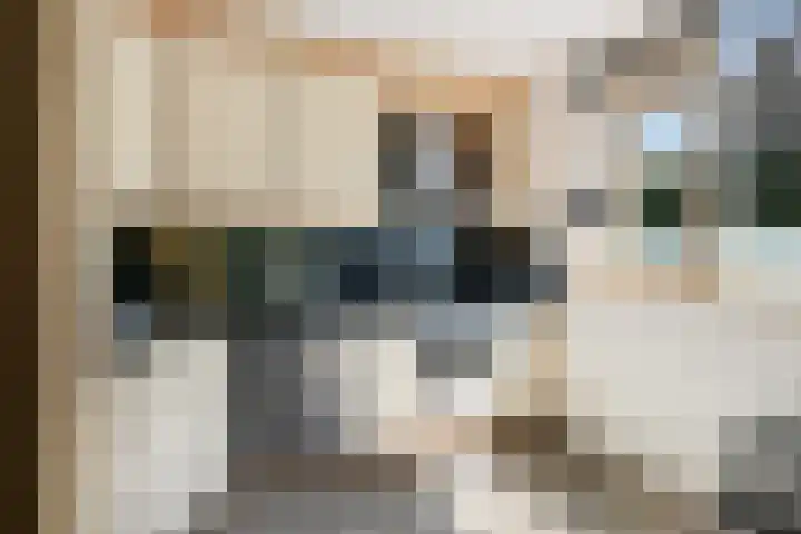 Begoniaveld 31 Nieuwerkerk aan den IJssel thumbnail 9