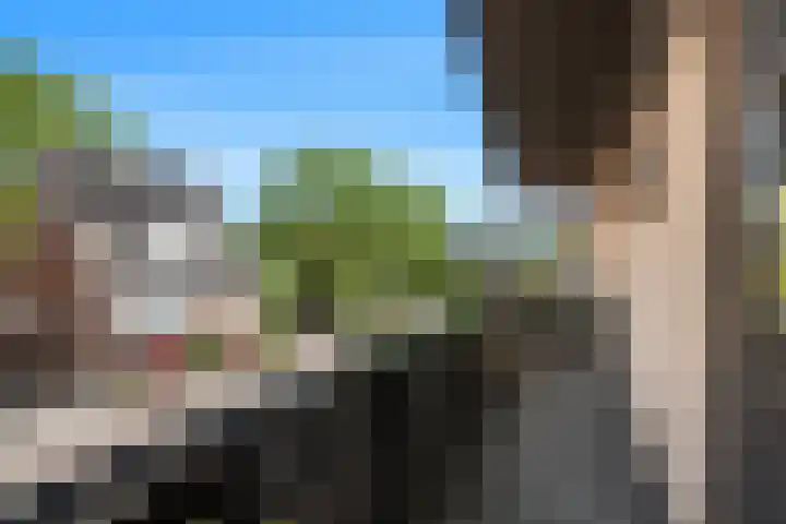 Begoniaveld 42 Nieuwerkerk aan den IJssel thumbnail 17