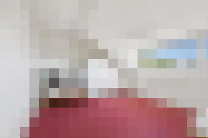 Begoniaveld 42 Nieuwerkerk aan den IJssel thumbnail 21