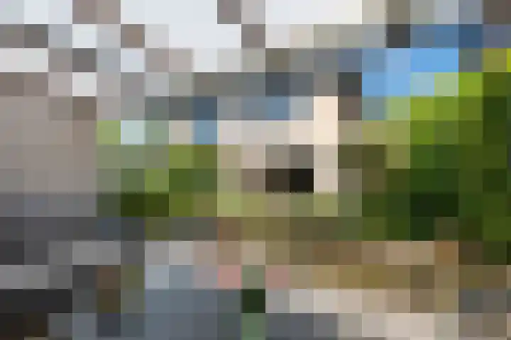 Begoniaveld 42 Nieuwerkerk aan den IJssel thumbnail 25
