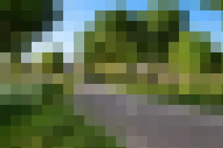 Begoniaveld 42 Nieuwerkerk aan den IJssel thumbnail 32