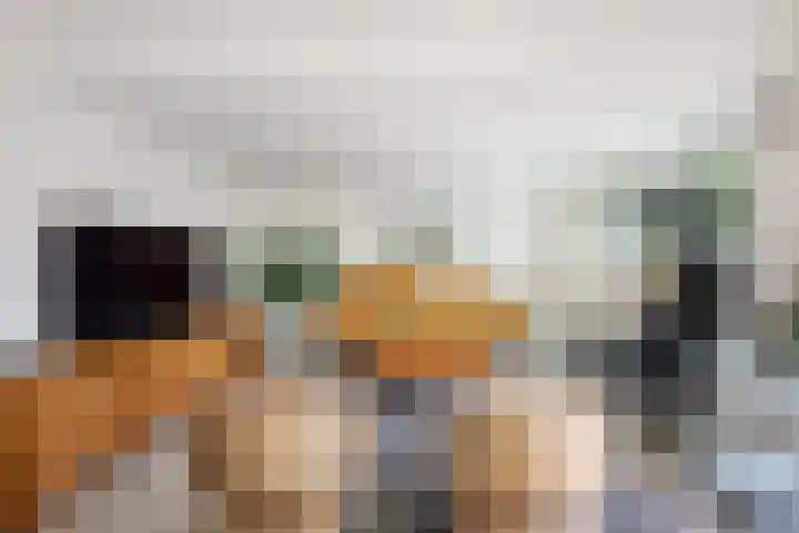 Begoniaveld 42 Nieuwerkerk aan den IJssel thumbnail 6