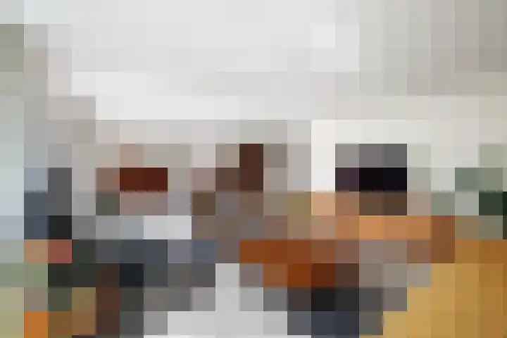 Begoniaveld 42 Nieuwerkerk aan den IJssel thumbnail 7