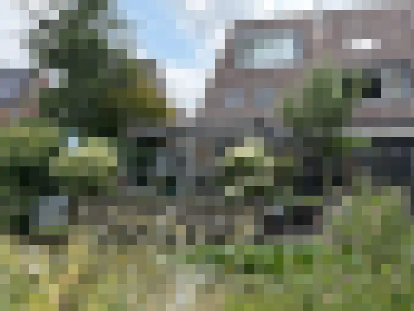 Begoniaveld 45 in Nieuwerkerk aan den IJssel
