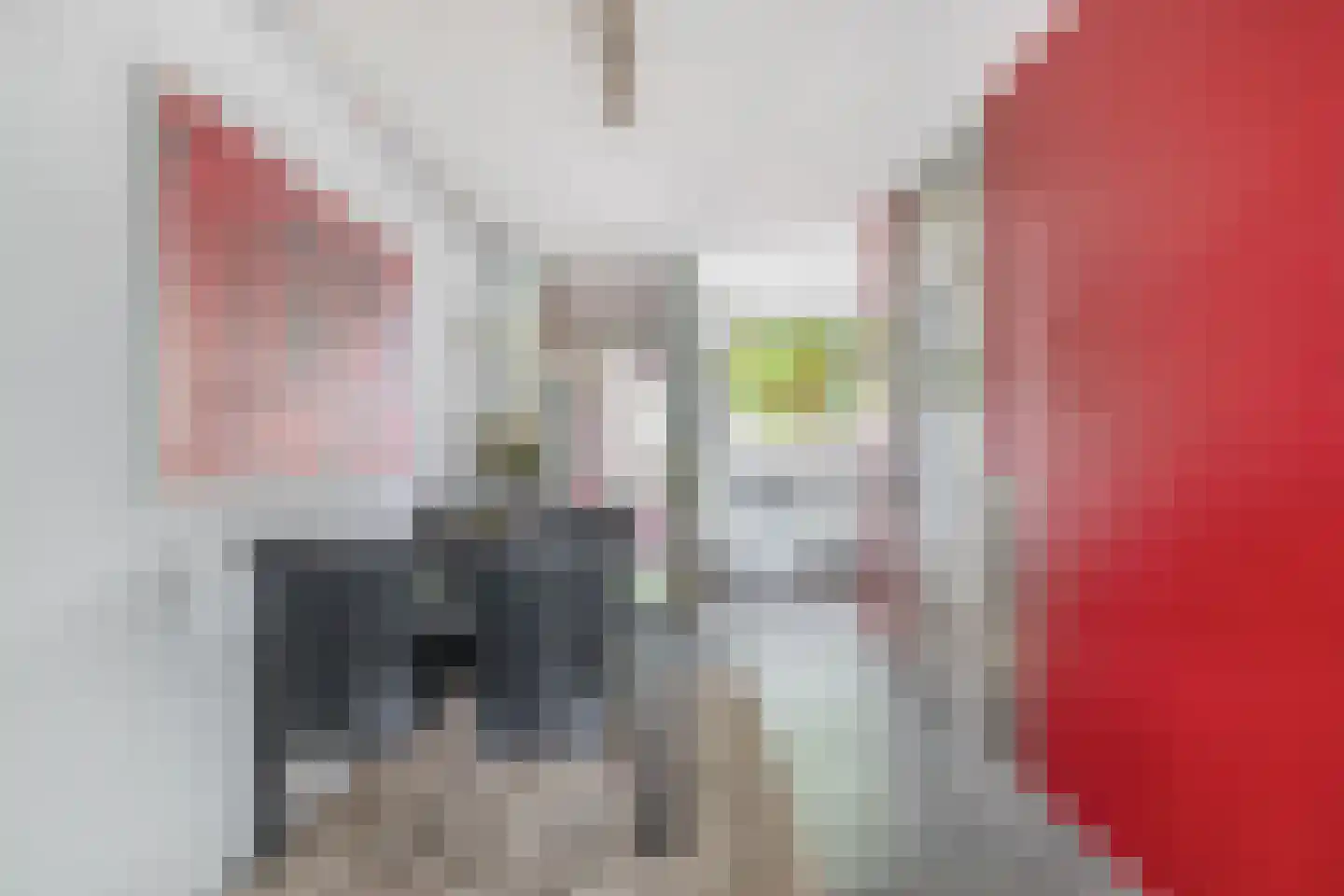 Begoniaveld 45 Nieuwerkerk aan den IJssel thumbnail 15