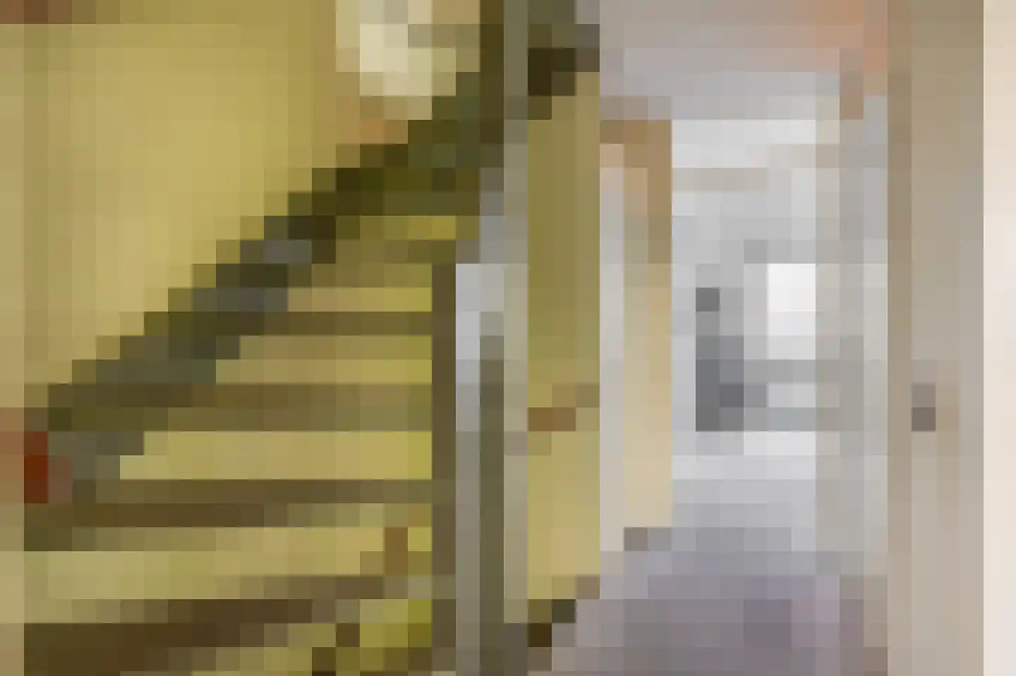 Begoniaveld 45 Nieuwerkerk aan den IJssel thumbnail 19