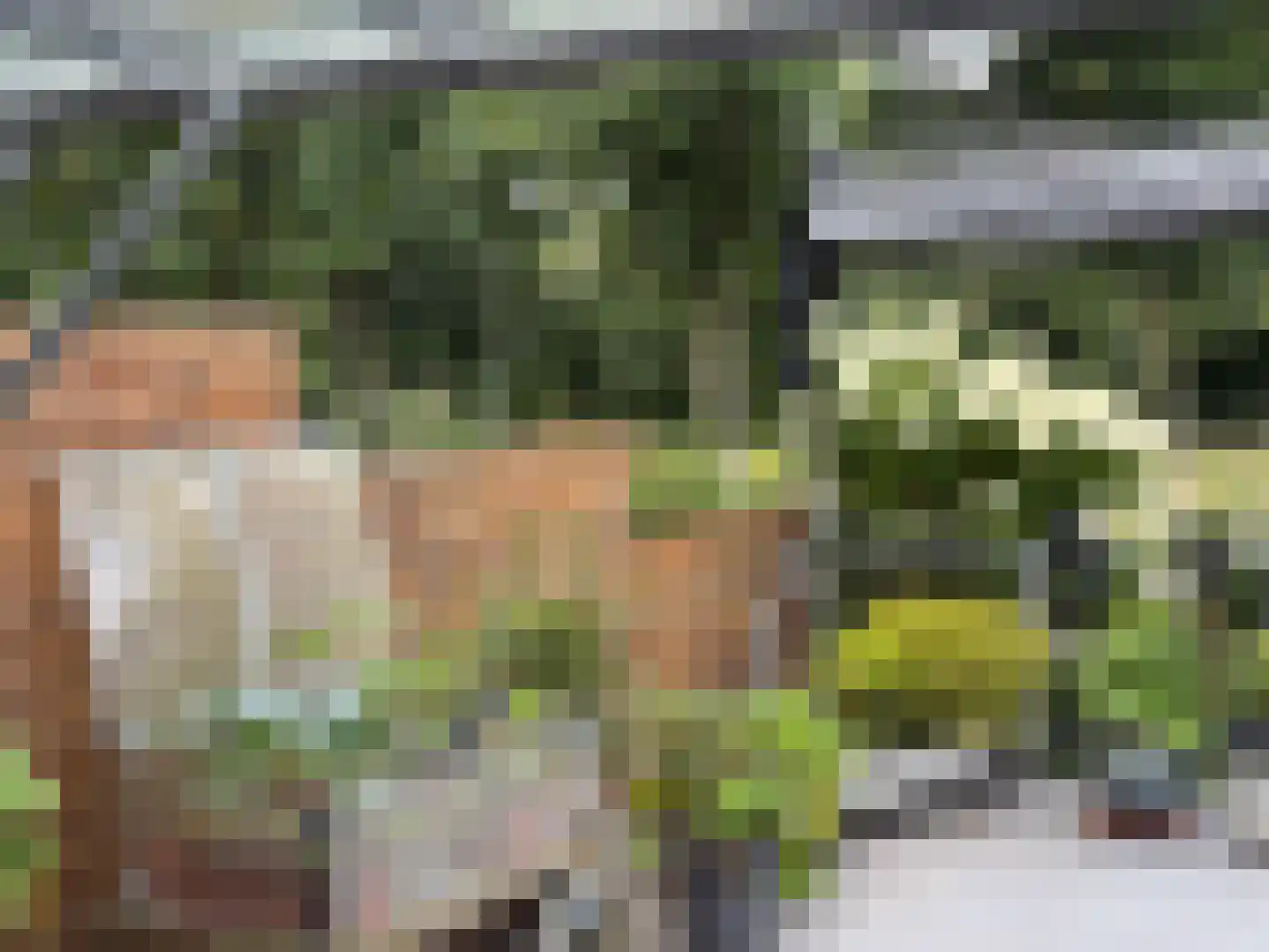 Begoniaveld 45 Nieuwerkerk aan den IJssel thumbnail 34