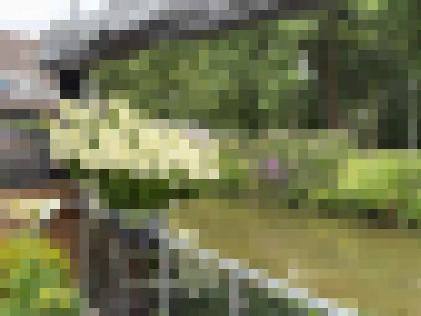 Begoniaveld 45 Nieuwerkerk aan den IJssel thumbnail 35