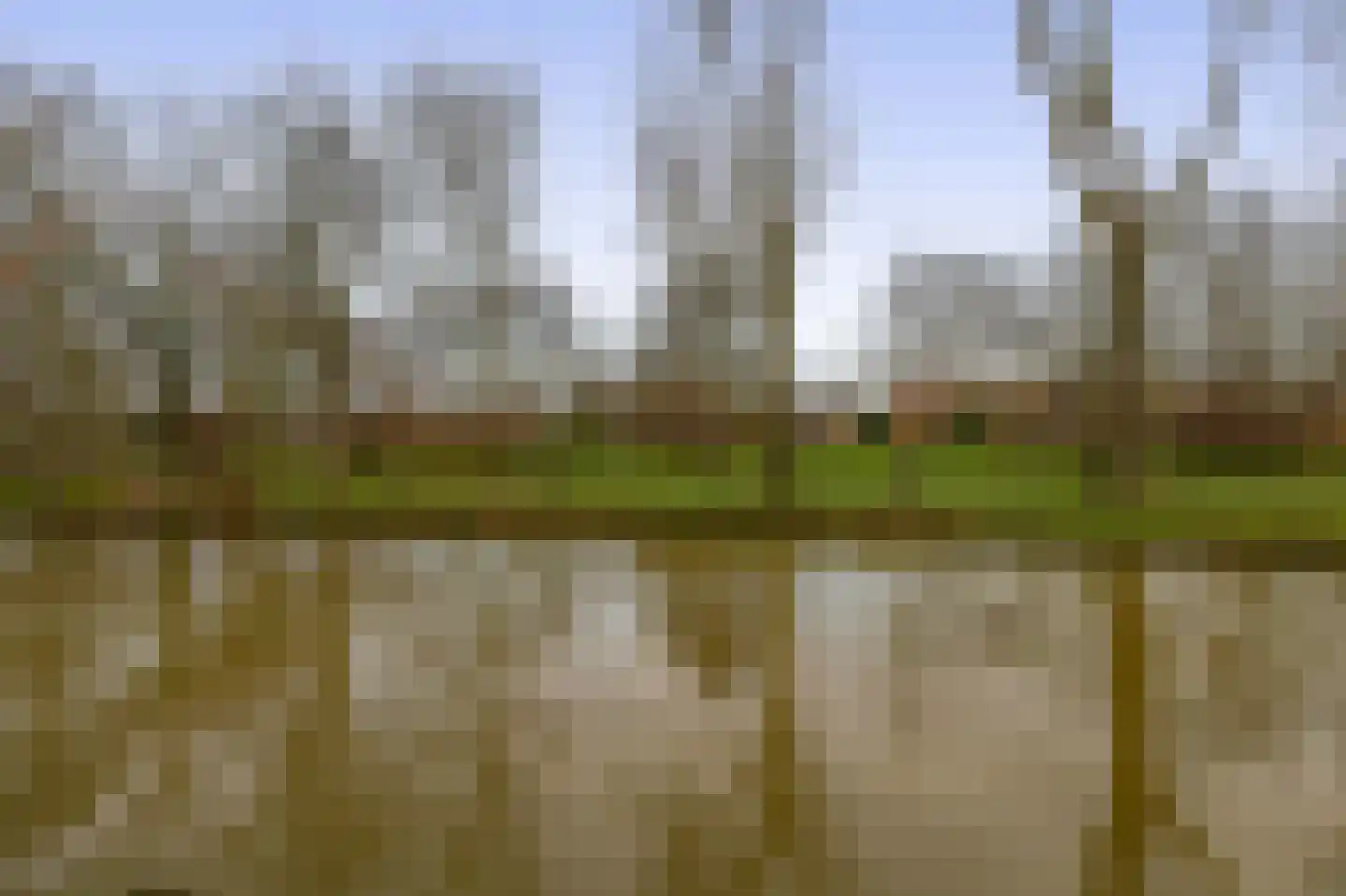 Begoniaveld 45 Nieuwerkerk aan den IJssel thumbnail 41