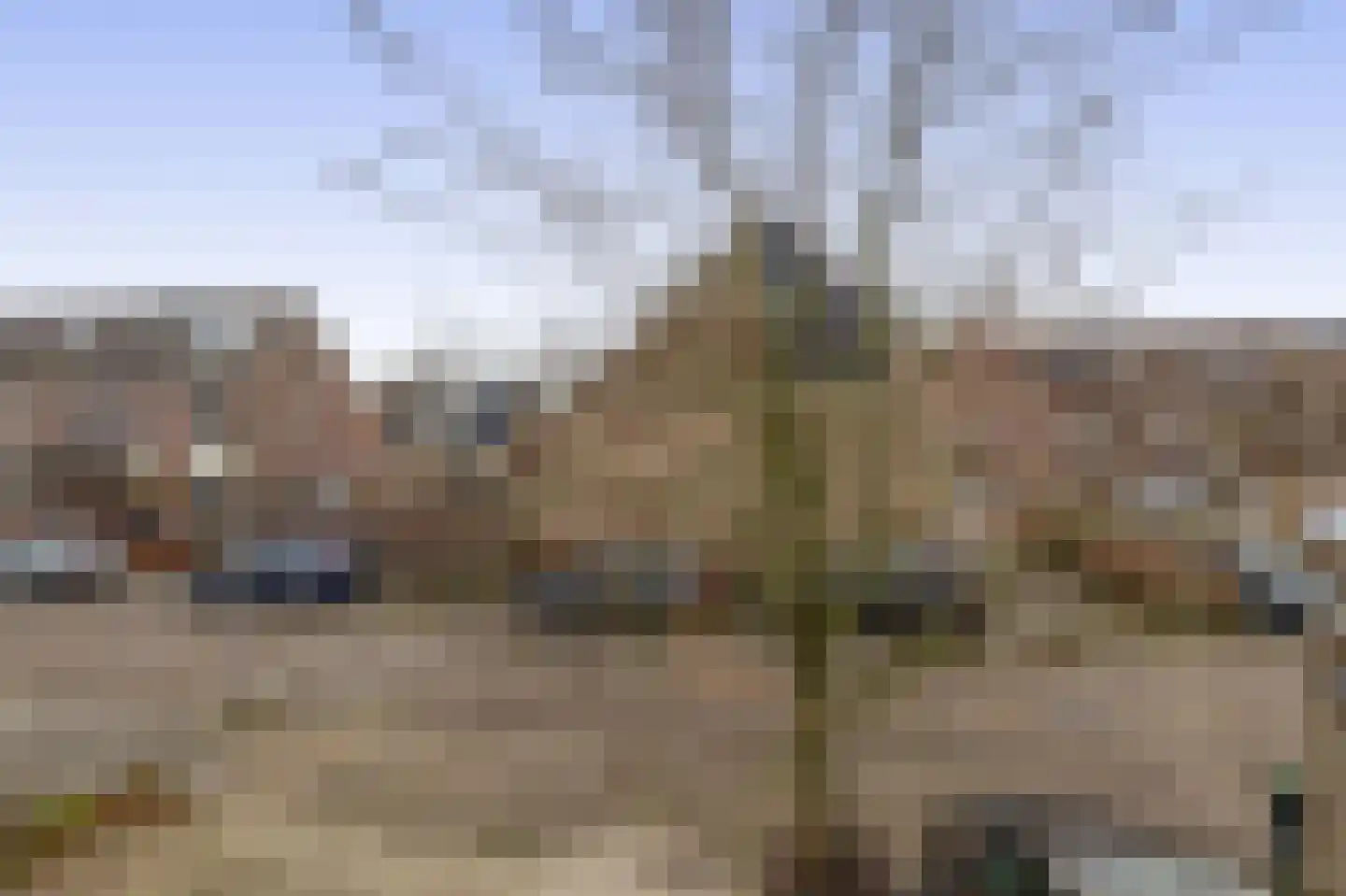 Begoniaveld 45 Nieuwerkerk aan den IJssel thumbnail 43
