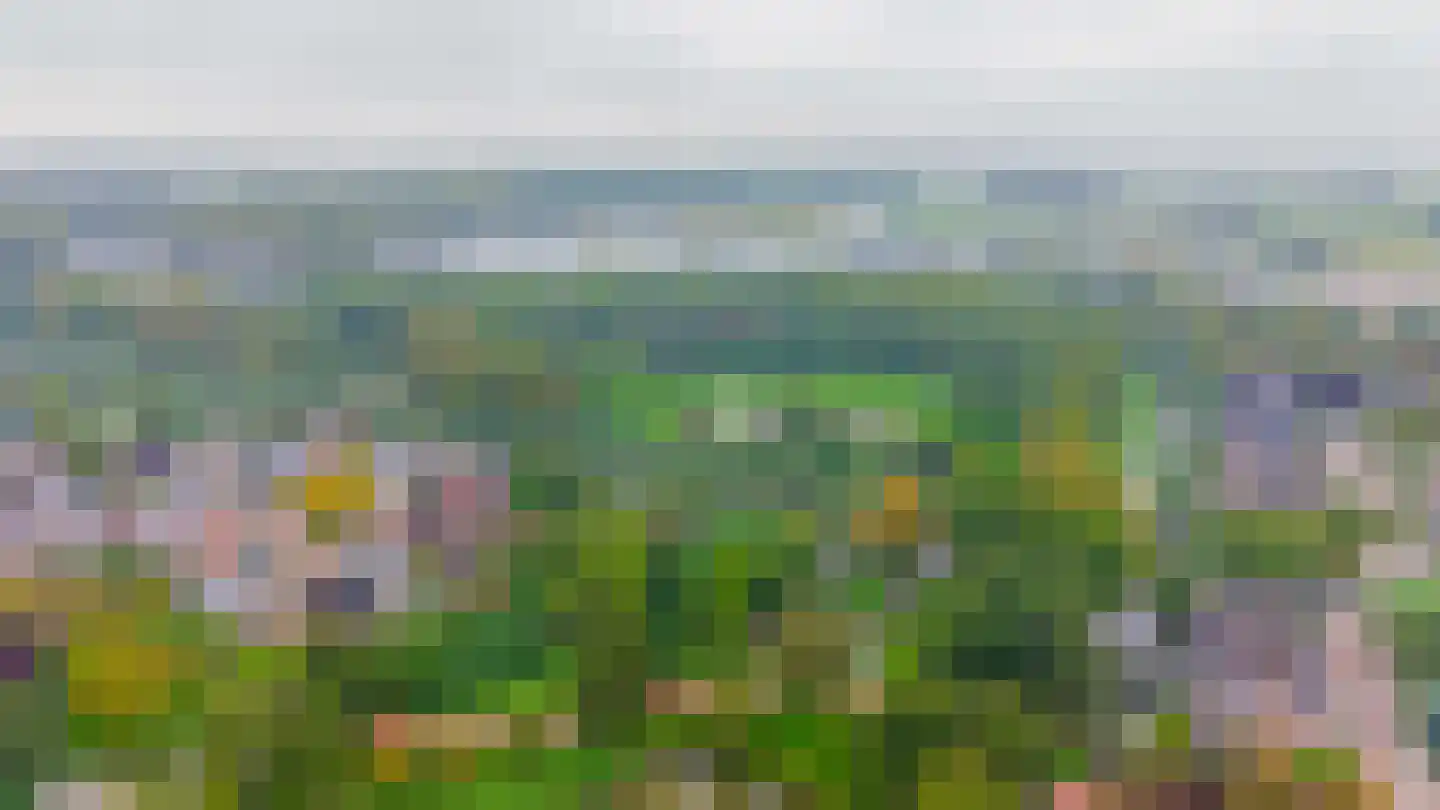Begoniaveld 45 Nieuwerkerk aan den IJssel thumbnail 53