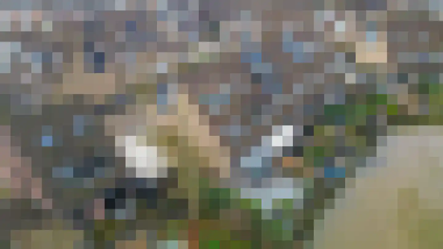 Begoniaveld 45 Nieuwerkerk aan den IJssel thumbnail 57
