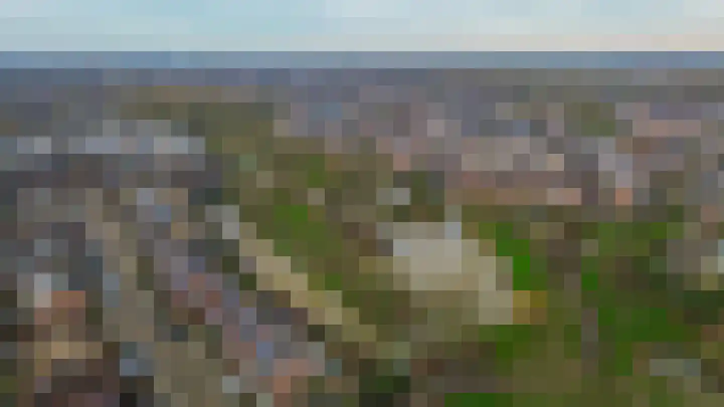 Begoniaveld 45 Nieuwerkerk aan den IJssel thumbnail 61