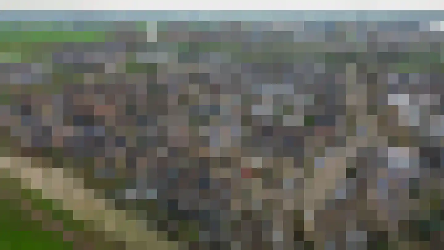 Begoniaveld 45 Nieuwerkerk aan den IJssel thumbnail 63