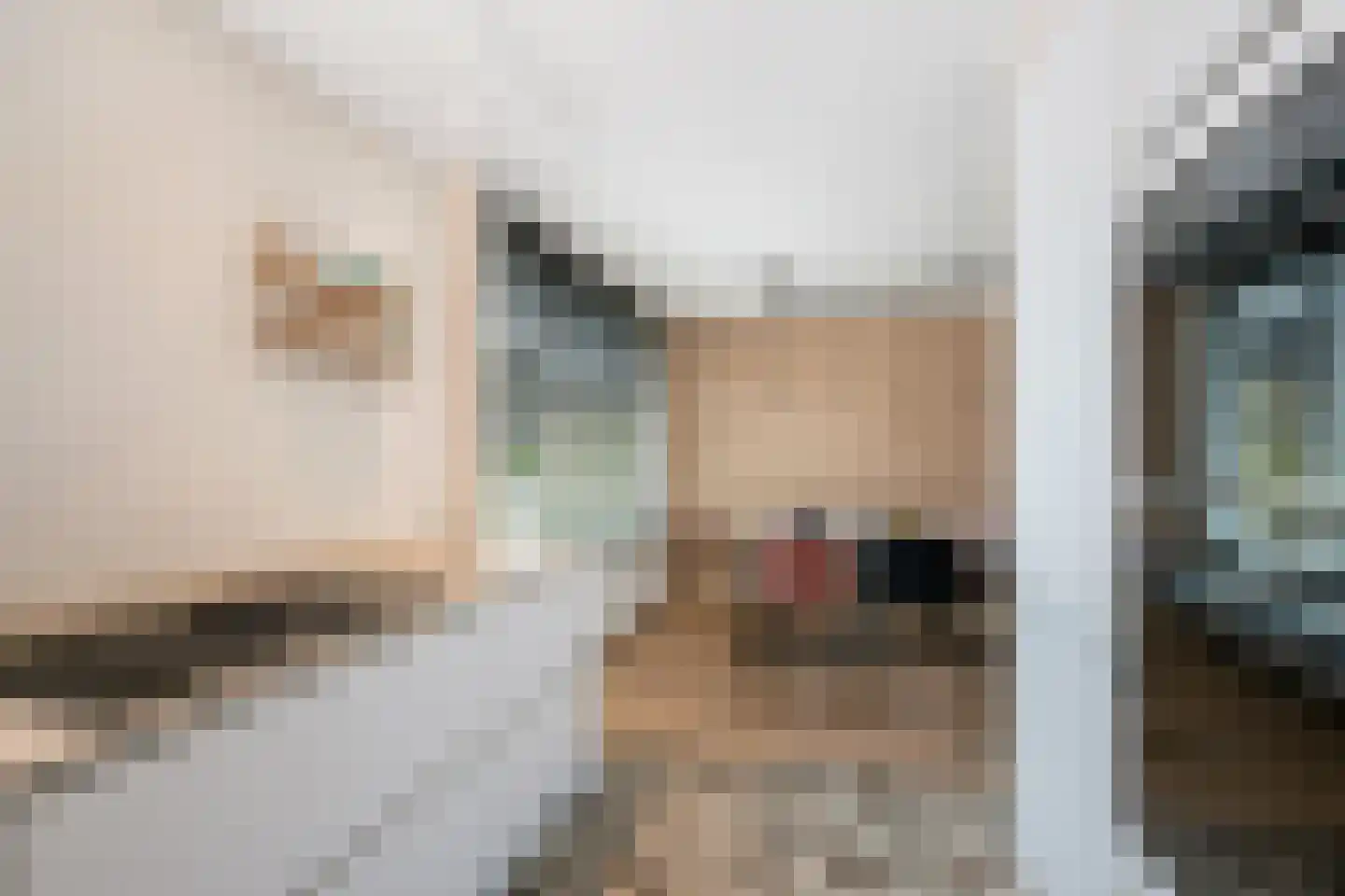Begoniaveld 63 Nieuwerkerk aan den IJssel thumbnail 10