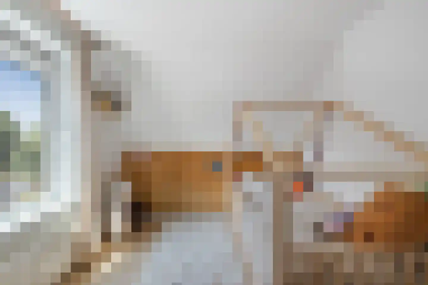 Begoniaveld 63 Nieuwerkerk aan den IJssel thumbnail 21
