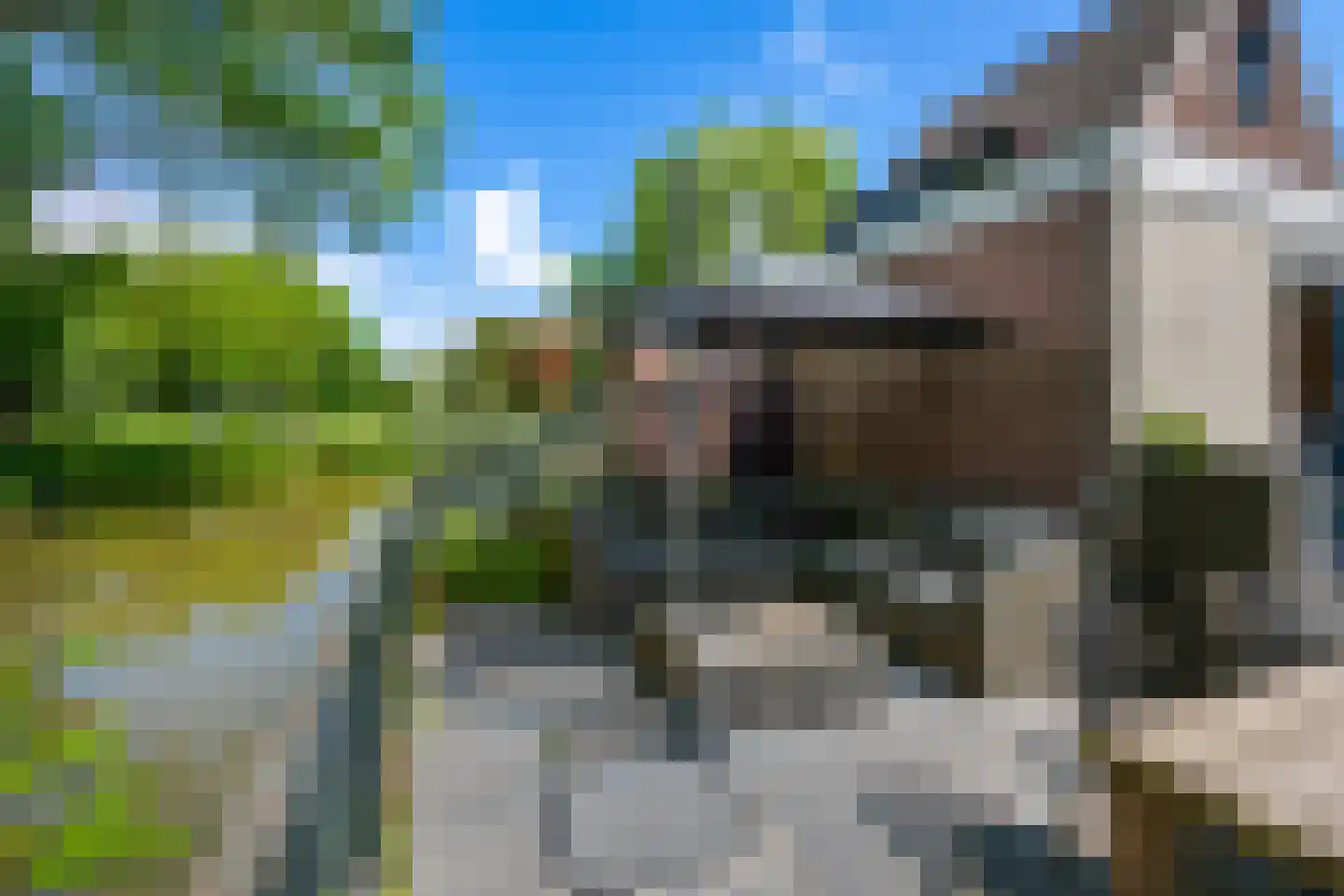Begoniaveld 63 Nieuwerkerk aan den IJssel thumbnail 29