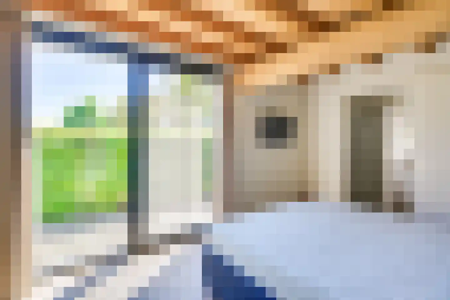 Behelp 2 a Heusden thumbnail 22