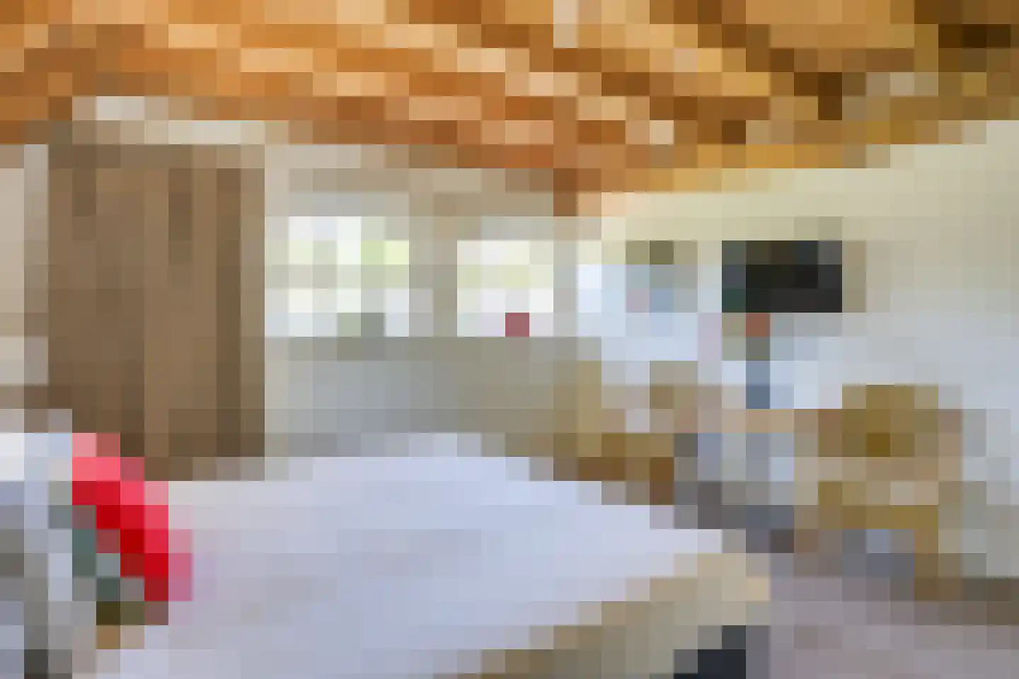 Behelp 2 a Heusden thumbnail 24