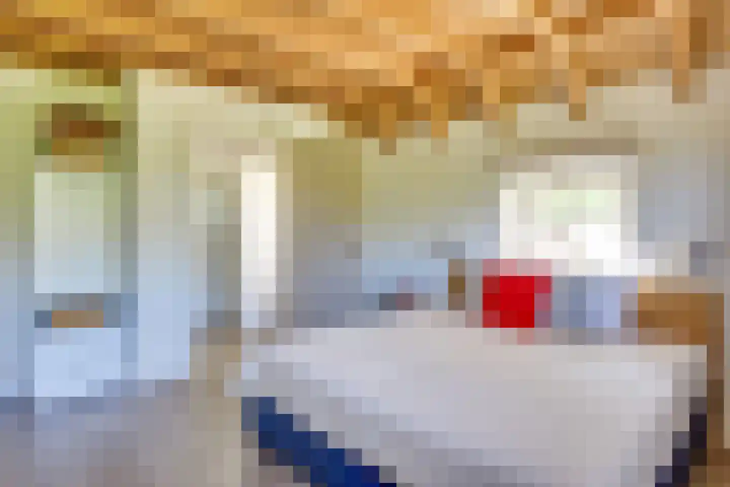 Behelp 2 a Heusden thumbnail 25
