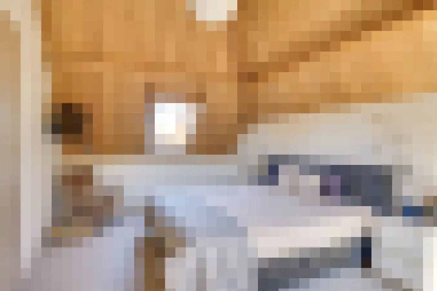 Behelp 2 a Heusden thumbnail 27