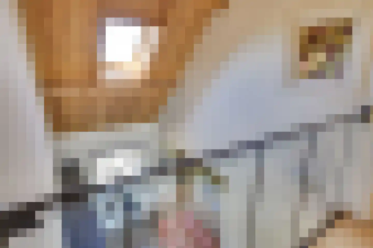 Behelp 2 a Heusden thumbnail 28