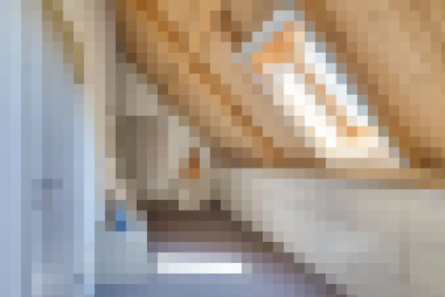 Behelp 2 a Heusden thumbnail 29