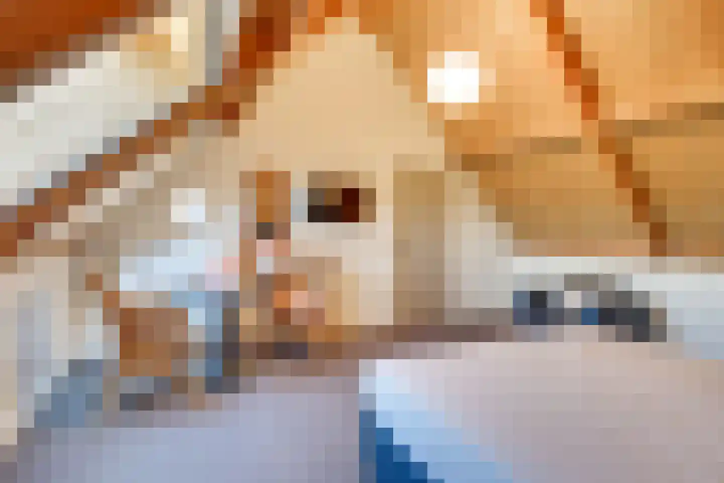 Behelp 2 a Heusden thumbnail 32