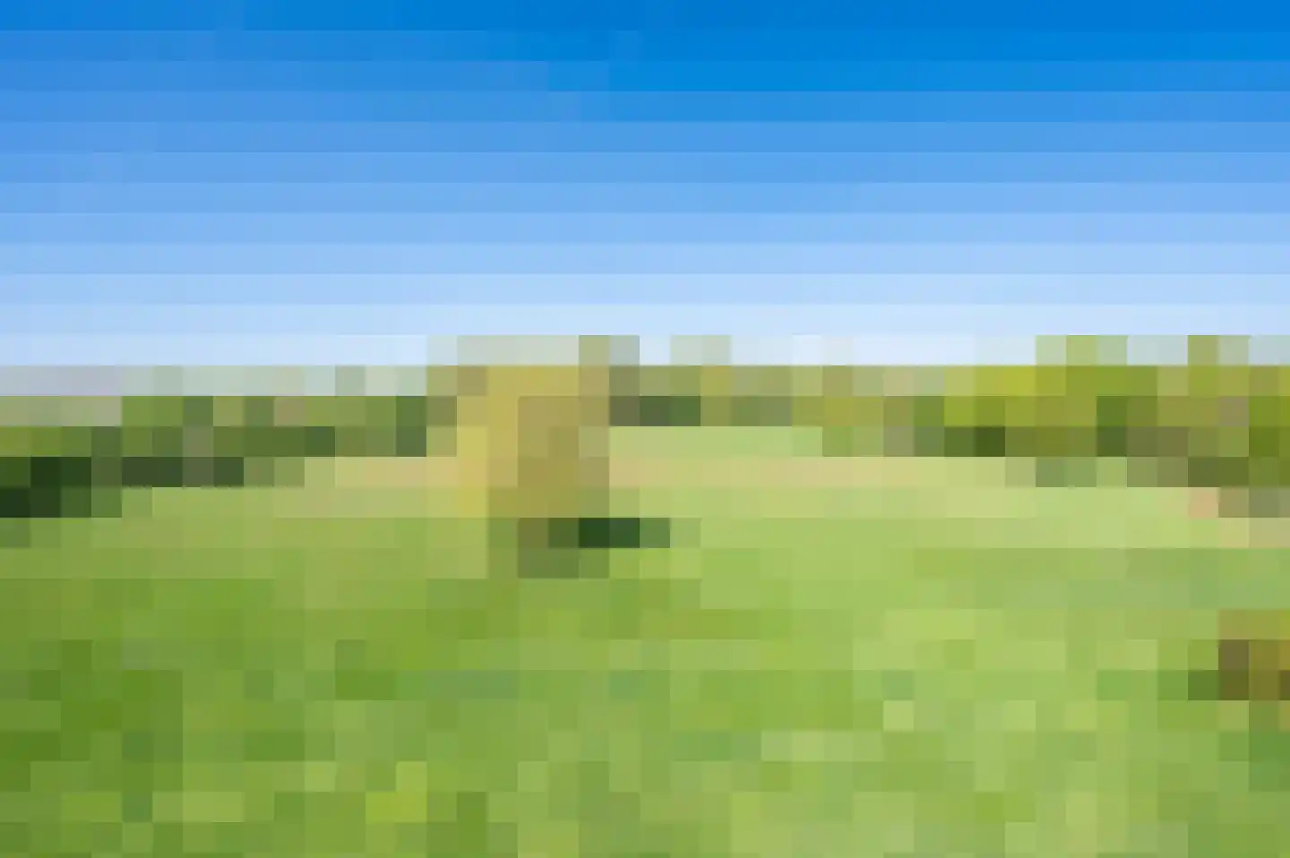 Behelp 2 a Heusden thumbnail 42