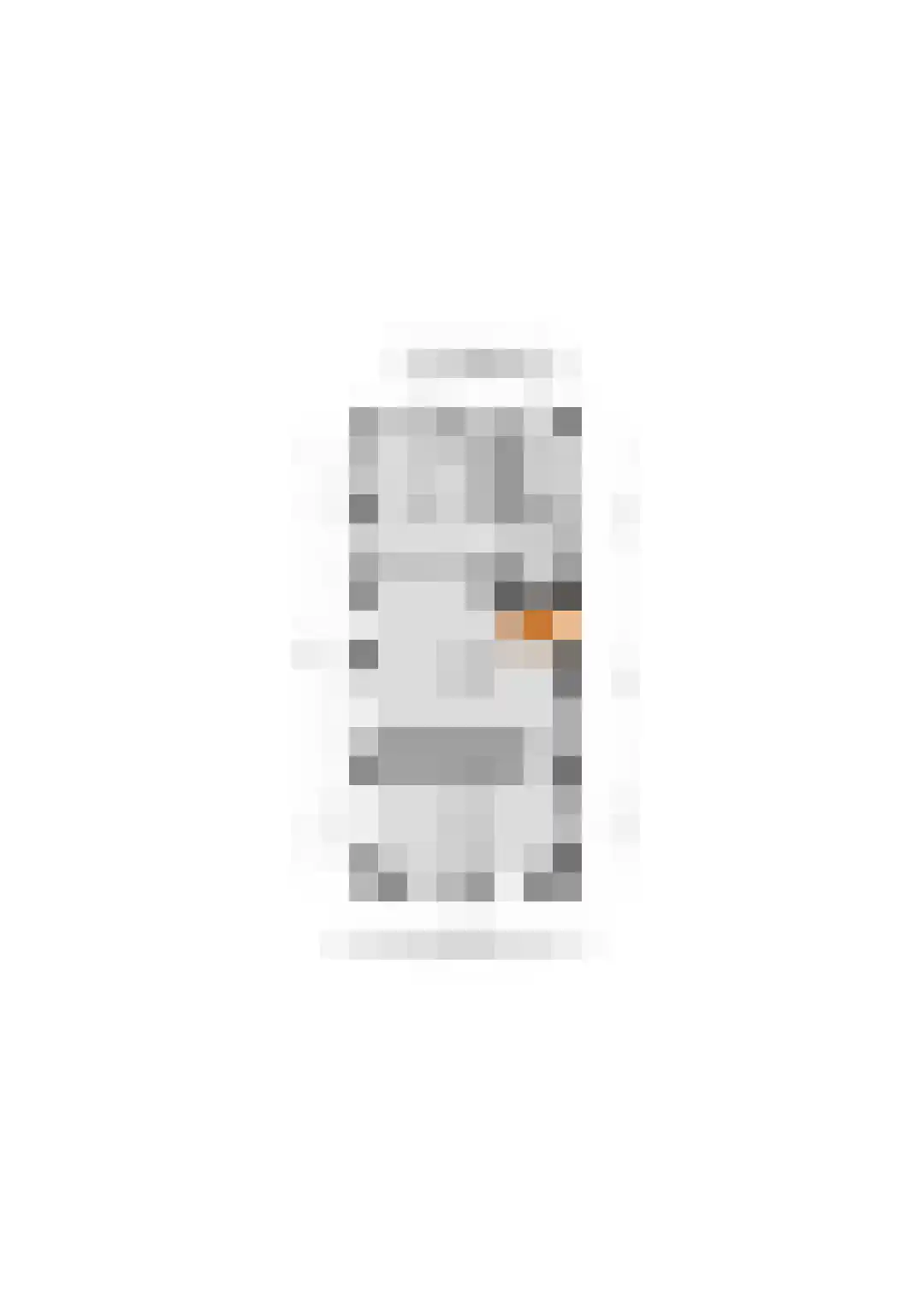 Behelp 2 a Heusden thumbnail 48
