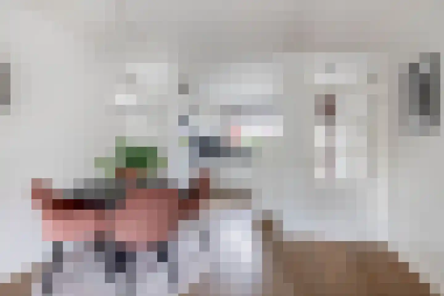 Behouden Huis 5 Krimpen aan de Lek thumbnail 14