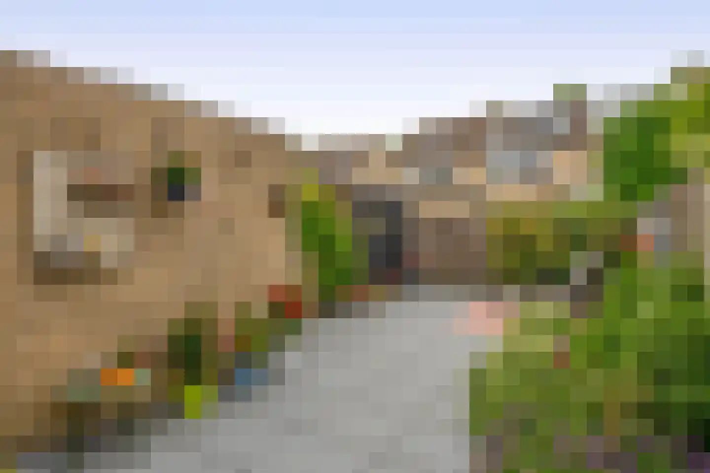Behouden Huis 5 Krimpen aan de Lek thumbnail 19