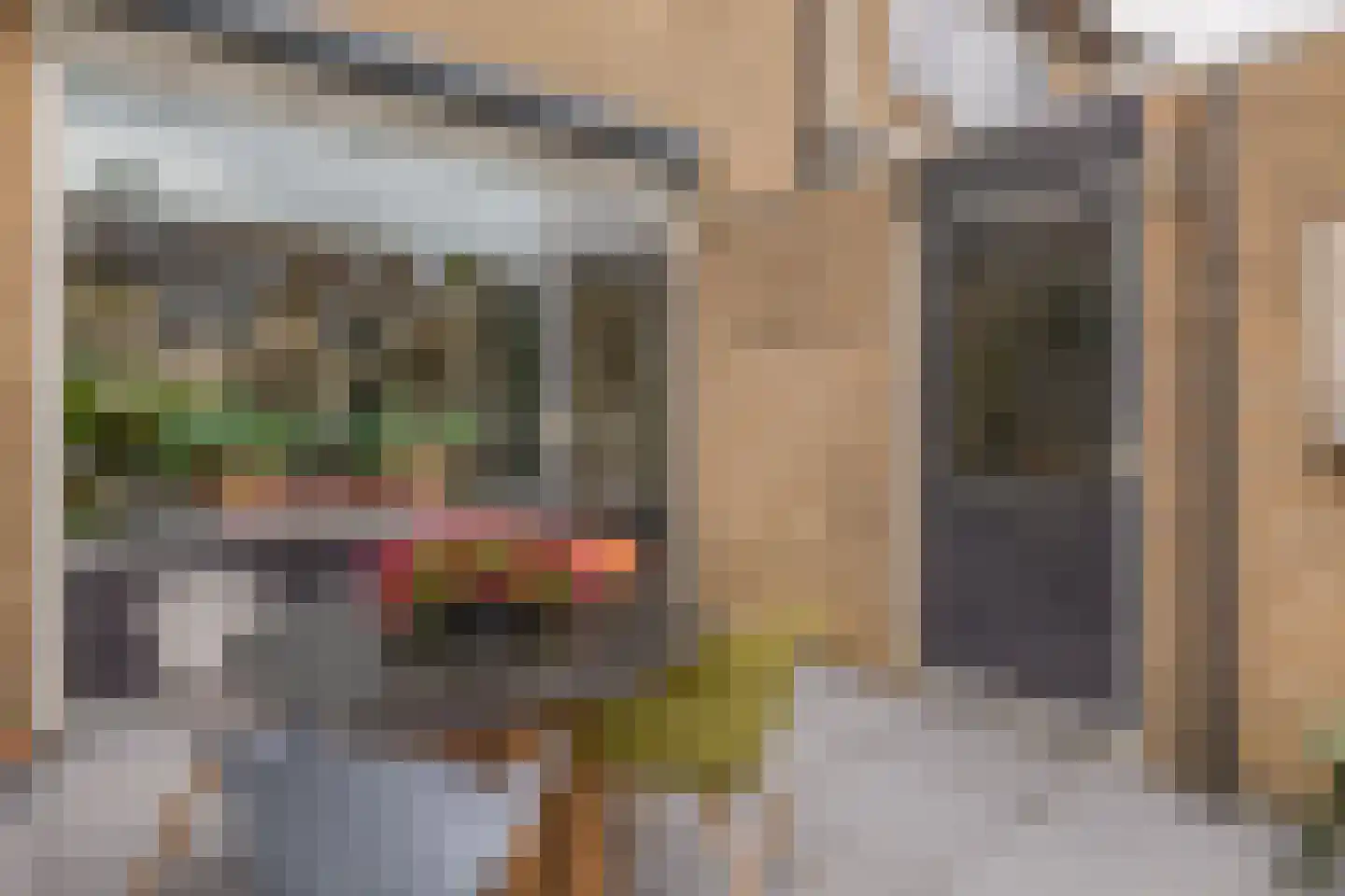 Behouden Huis 5 Krimpen aan de Lek thumbnail 20