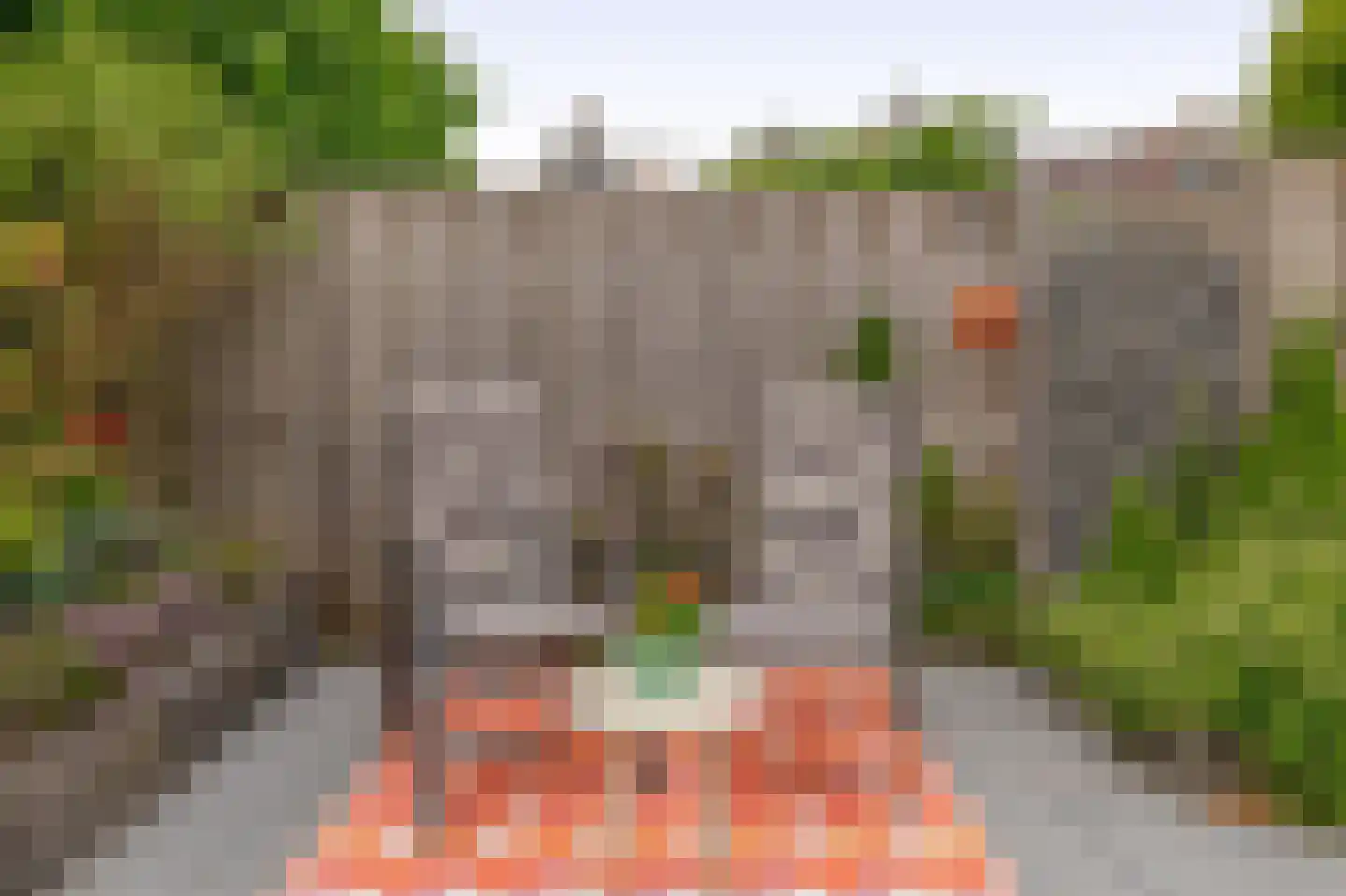 Behouden Huis 5 Krimpen aan de Lek thumbnail 22