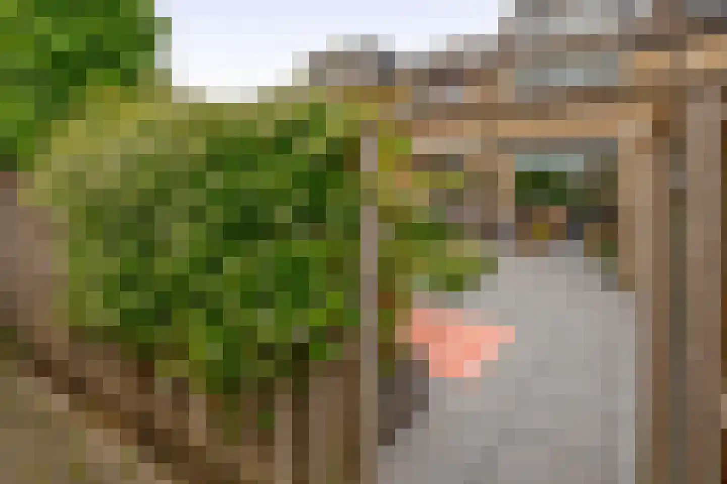 Behouden Huis 5 Krimpen aan de Lek thumbnail 24