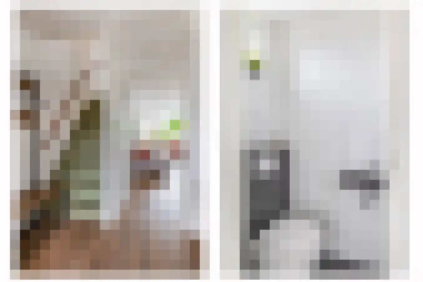 Behouden Huis 5 Krimpen aan de Lek thumbnail 9
