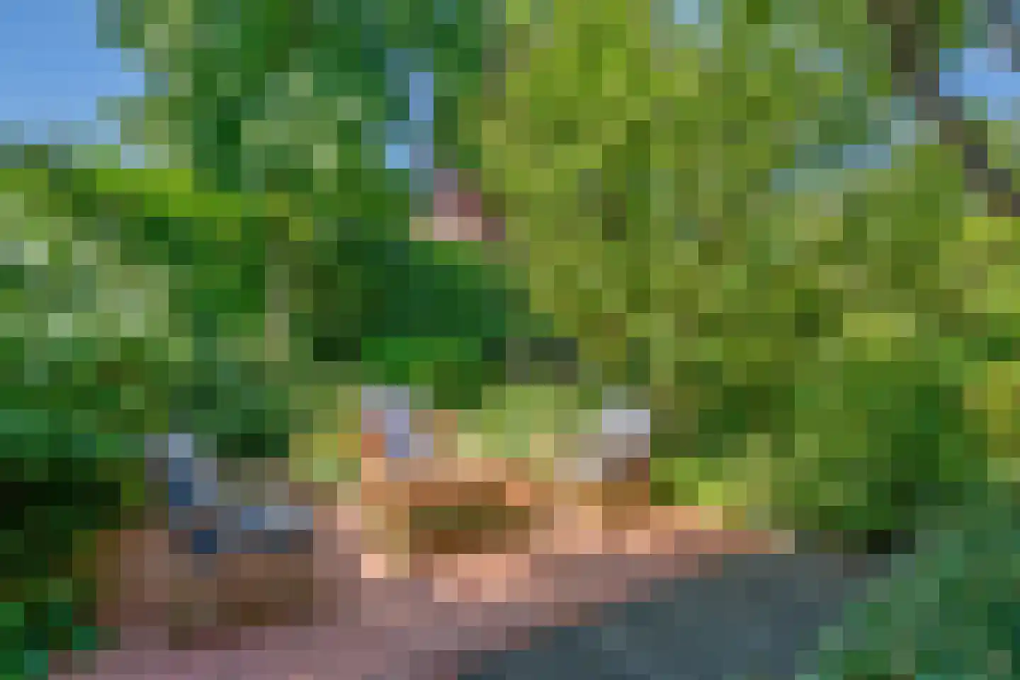 Behrenslijn 13 Zoetermeer thumbnail 13