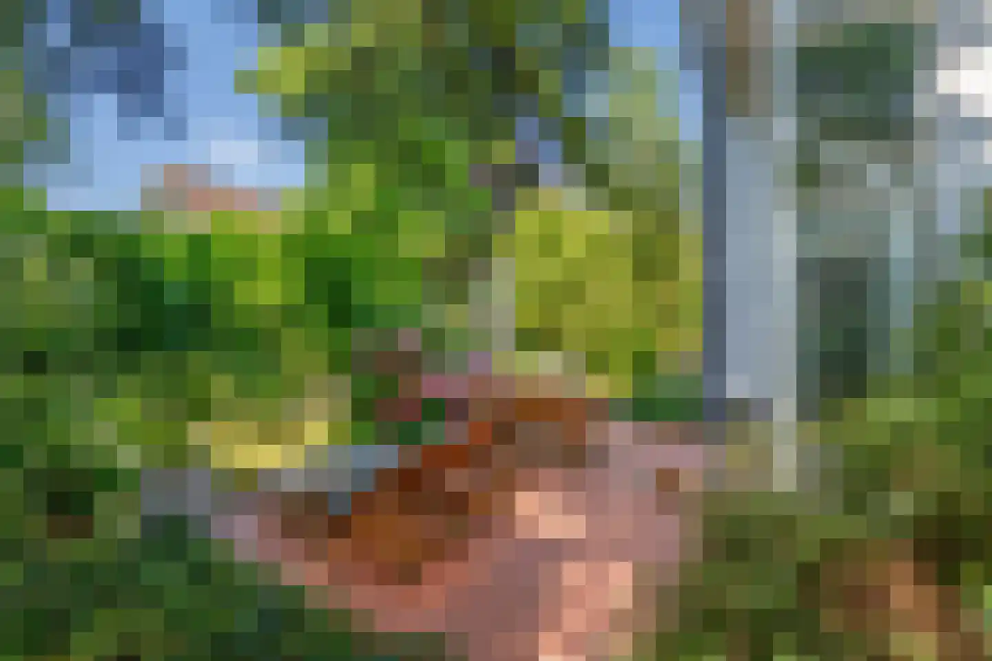 Behrenslijn 13 Zoetermeer thumbnail 14