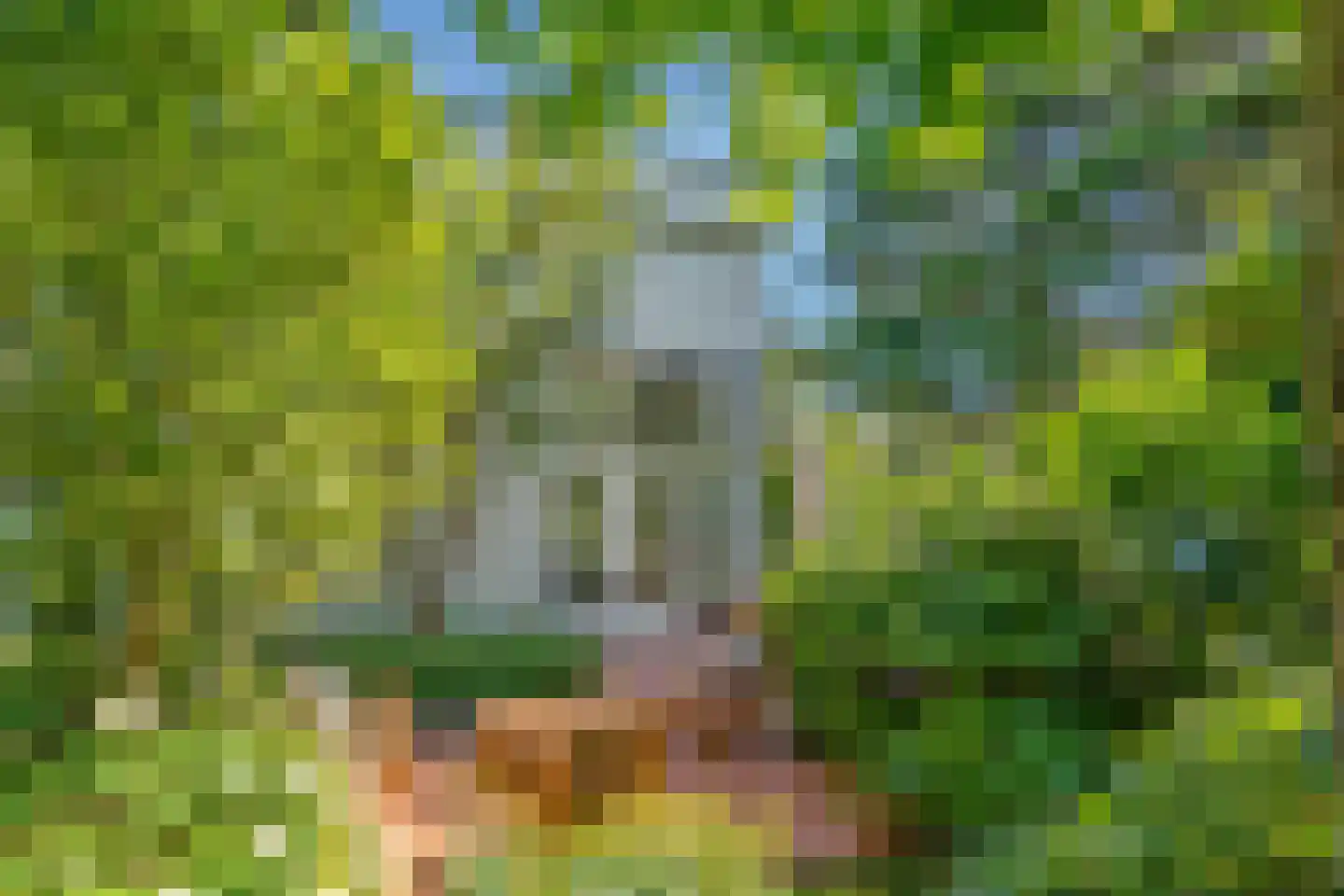Behrenslijn 13 Zoetermeer thumbnail 15